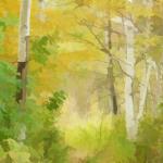 #110  ""Foilage Along The Gibson Trail"  (29 x 36)
