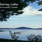 NB-09.05 - Harvey Lake