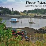 NB-02.01 - Deer Island