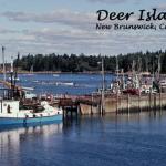 NB-02.02 - Deer Island