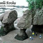 NB-03.01 - Hopewell Rocks